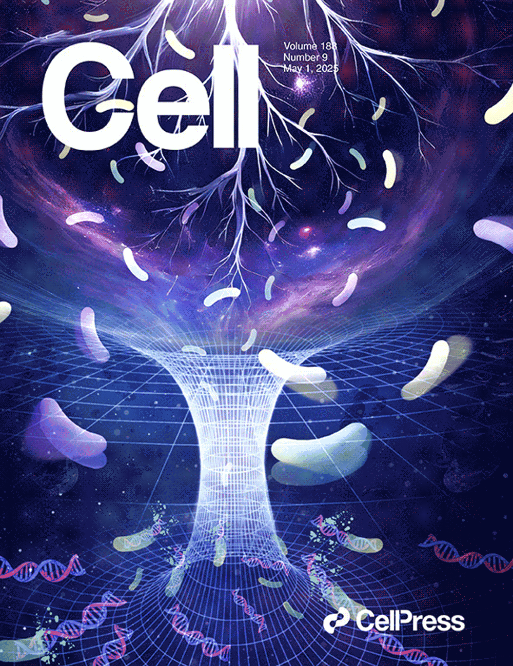 『تم عرض الغلاف الذي صممه Sondii في Cell』كشف أسرار ميكروبات منطقة جذور المحاصيل: تقديم مكتبتين رئيسيتين للجينات، CRBC و CRVC !!