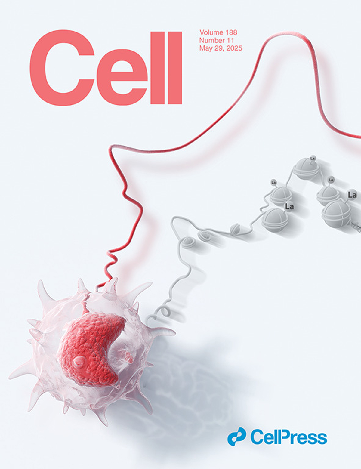 『تم عرض الغلاف الذي صممه Sondii في Cell』فك شفرة 